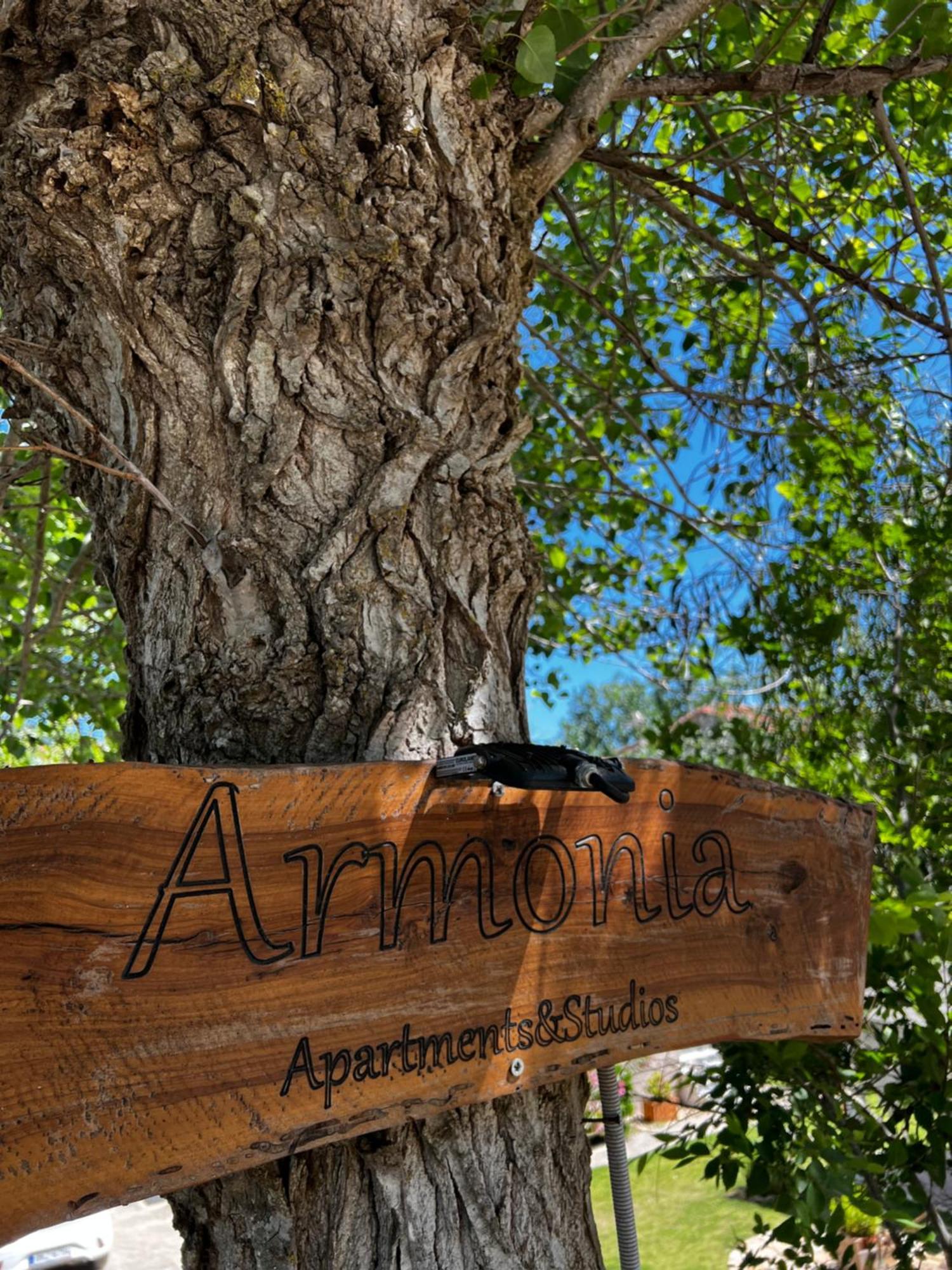 Armonia Apartments & Studios Perivolion Exterior photo